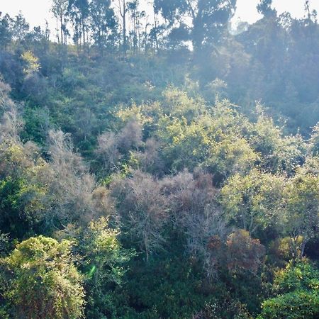 La Flora Tamilnadu - Kodaikanal Exterior foto